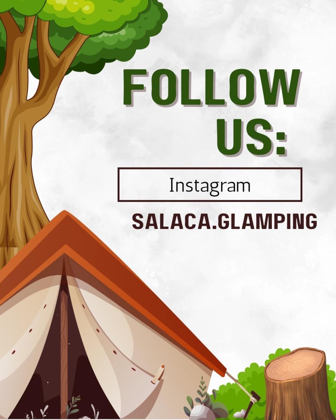 Glamping Belltent In *